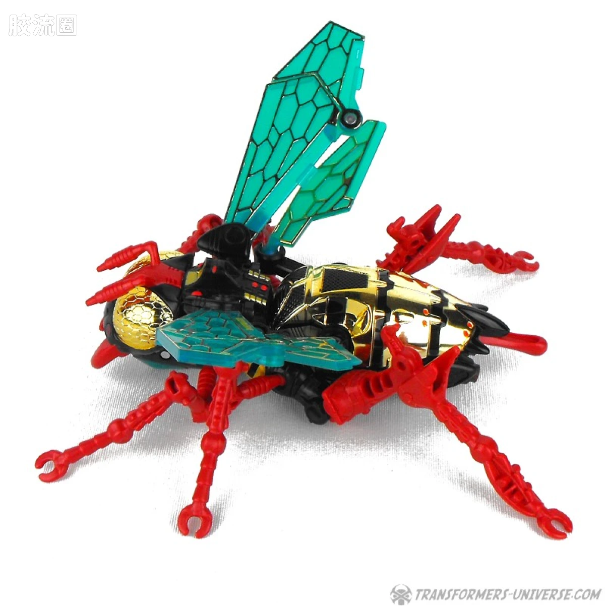 变形金刚 美版BW 98-01 加强级 黄蜂 Waspinator - 图片