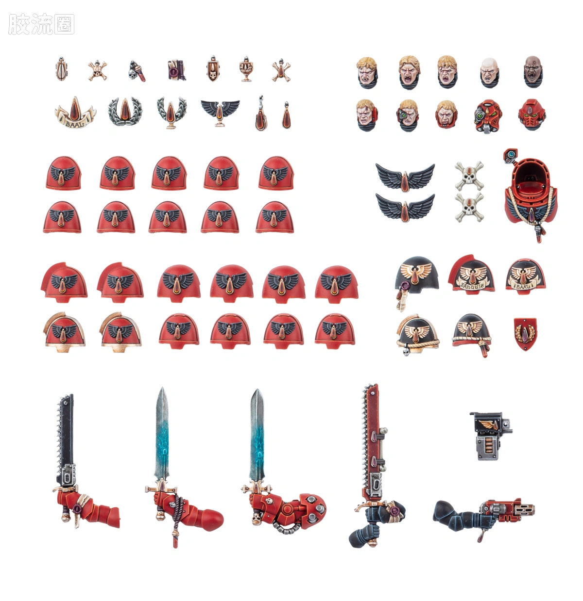 战锤40K Blood Angels 圣血天使 10版 星际战士升级改件 - 图片