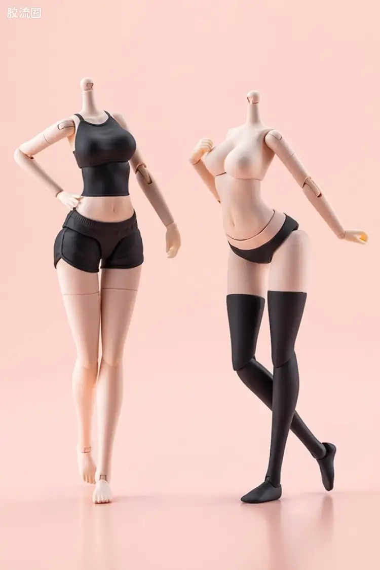 Body【L】配色C Ver.