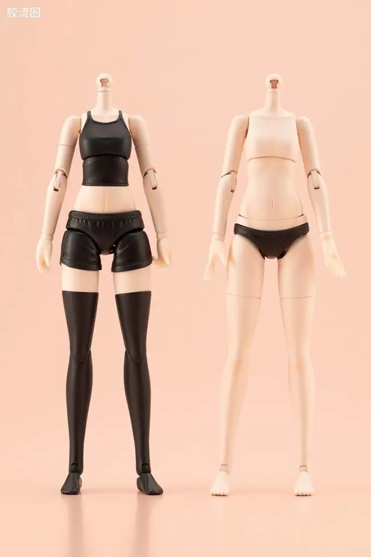 Body【S】配色C Ver.