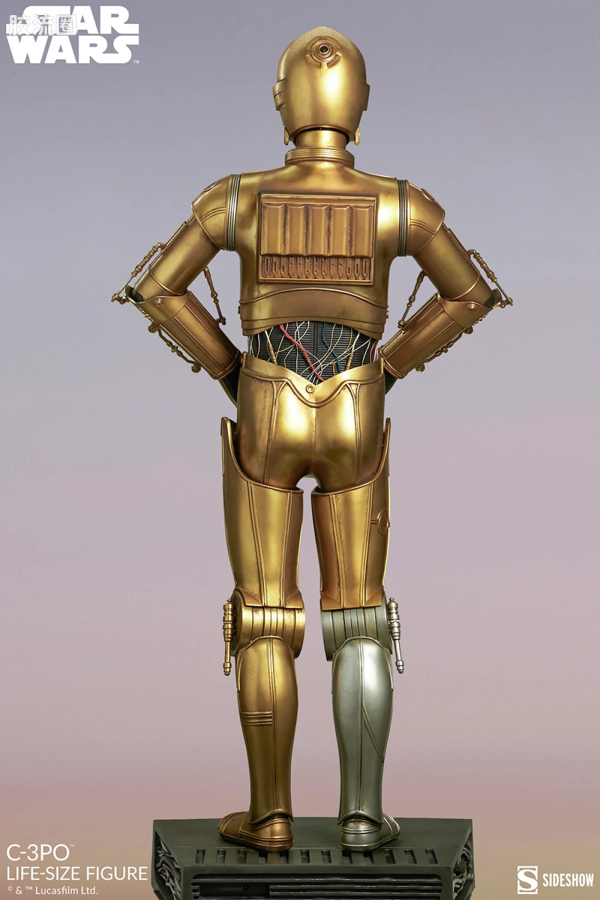 sideshow 1比1人偶系列 普通版 星球大战 C-3PO - 图片
