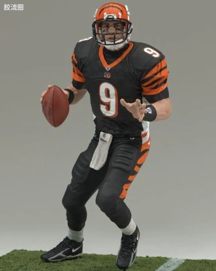 CARSON PALMER