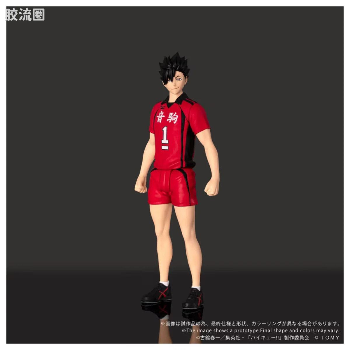 CK-H04 黑尾铁朗