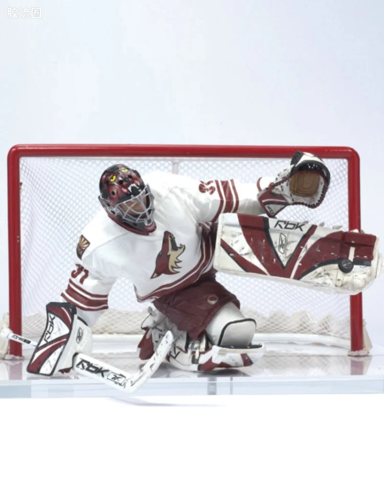 CURTIS JOSEPH 2 (Coyotes)