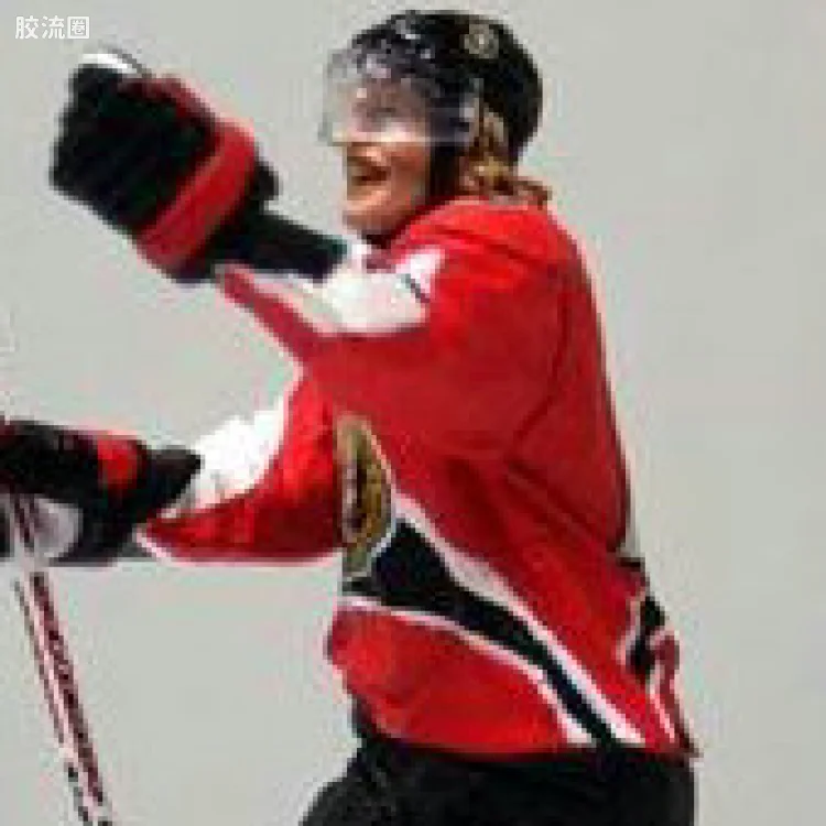 麦克法兰NHL冰球系列玩具 3寸系列第4代 DANIEL ALFREDSSON