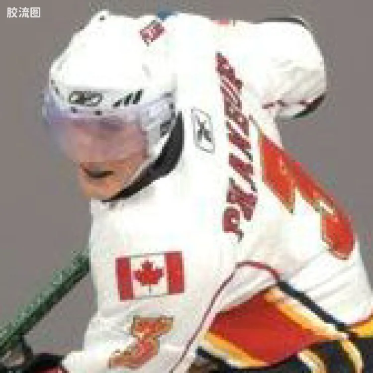 麦克法兰NHL冰球系列玩具 第20代 DION PHANEUF