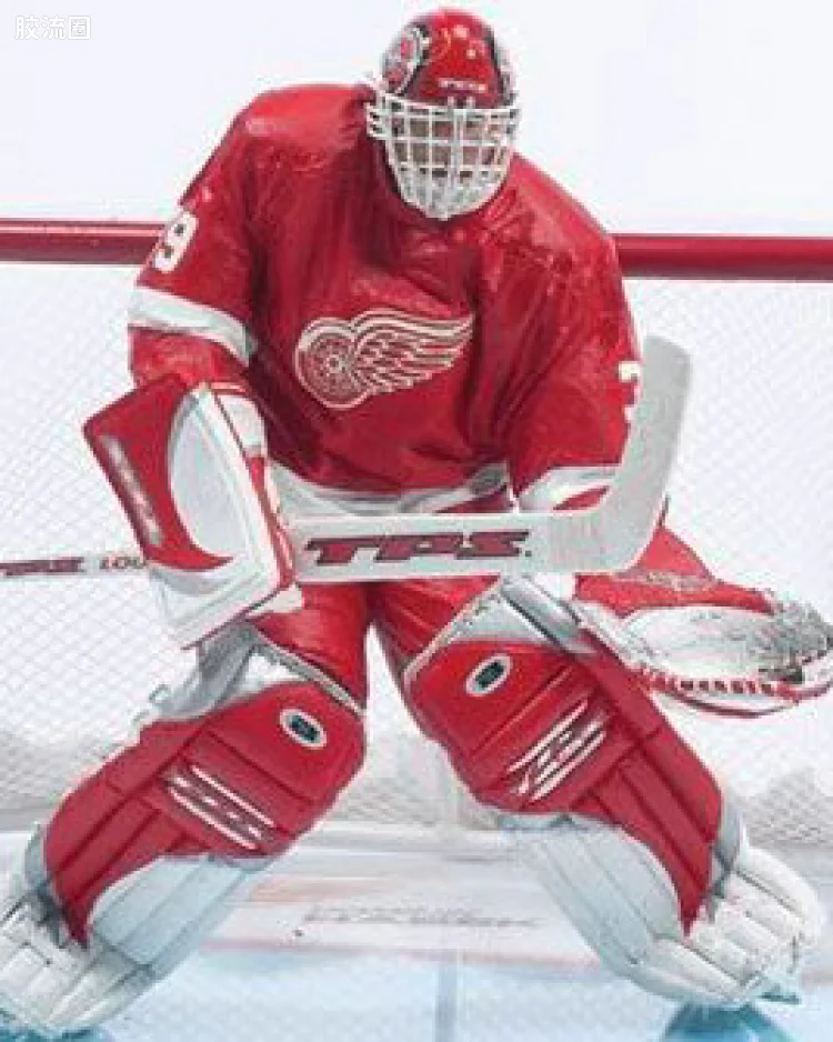 DOMINIK HASEK 2
