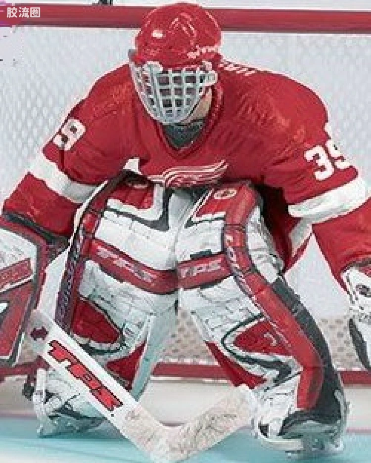 DOMINIK HASEK