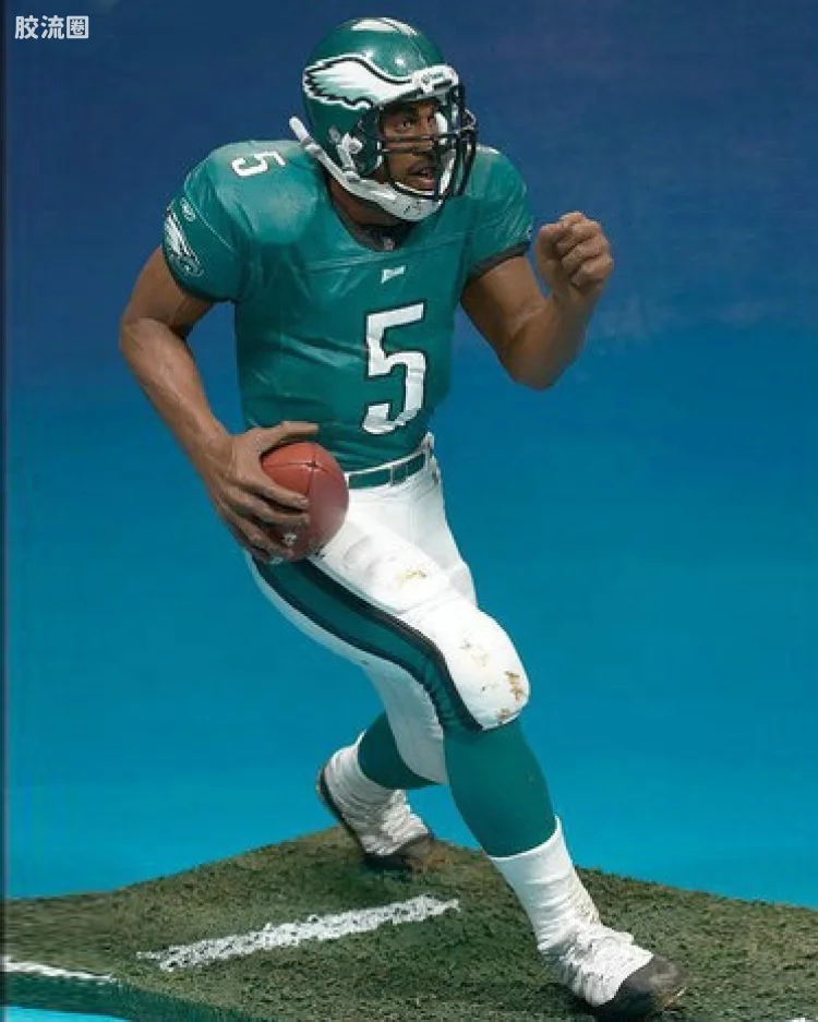 DONOVAN MCNABB