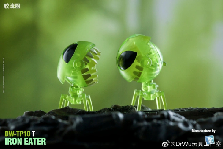 DW-TP10T 绿透TFP噬铁虫