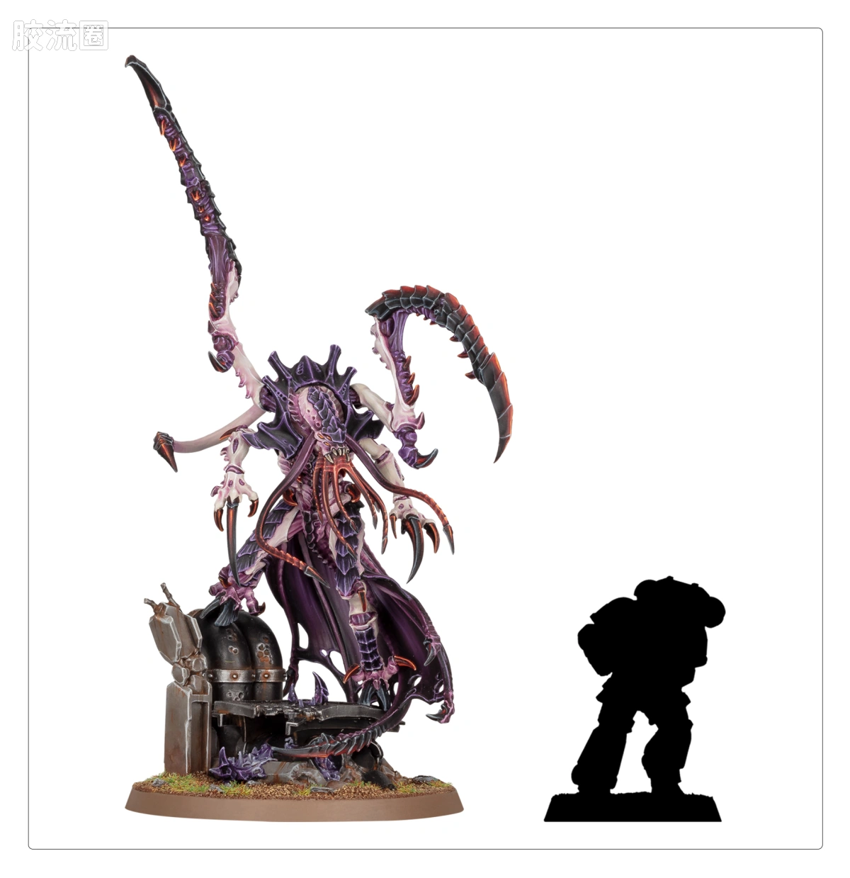 战锤40K Tyranid 泰伦虫族 10版 死亡跃袭者 - 图片