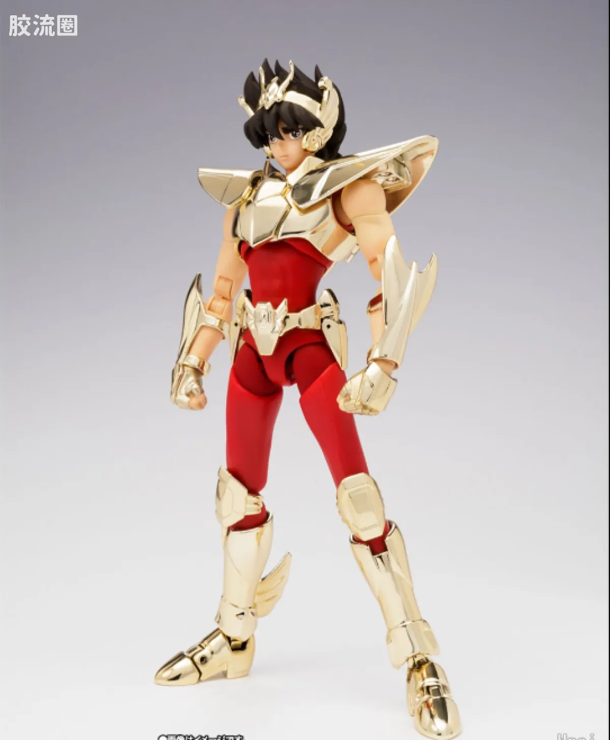 圣斗士圣衣神话 会场限定 EX 天马座星矢 新生青铜圣衣(金色限定)