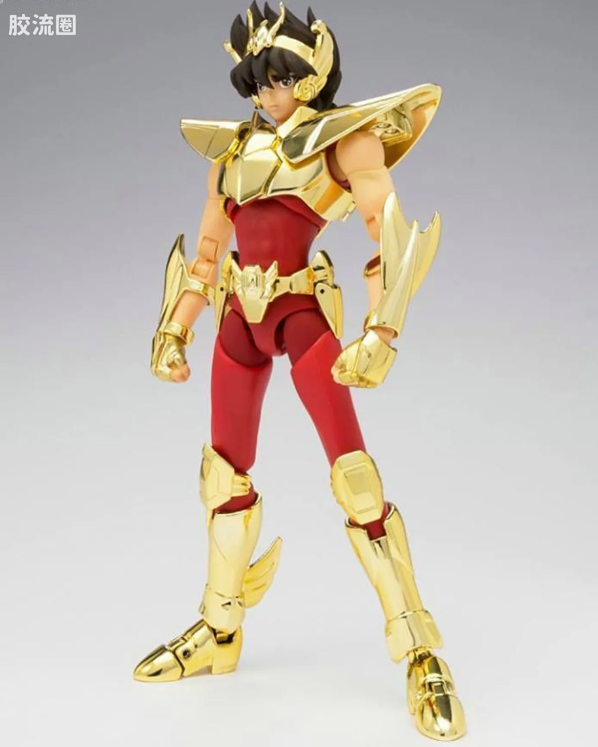 EX黄金天马星矢(新生青铜圣衣)