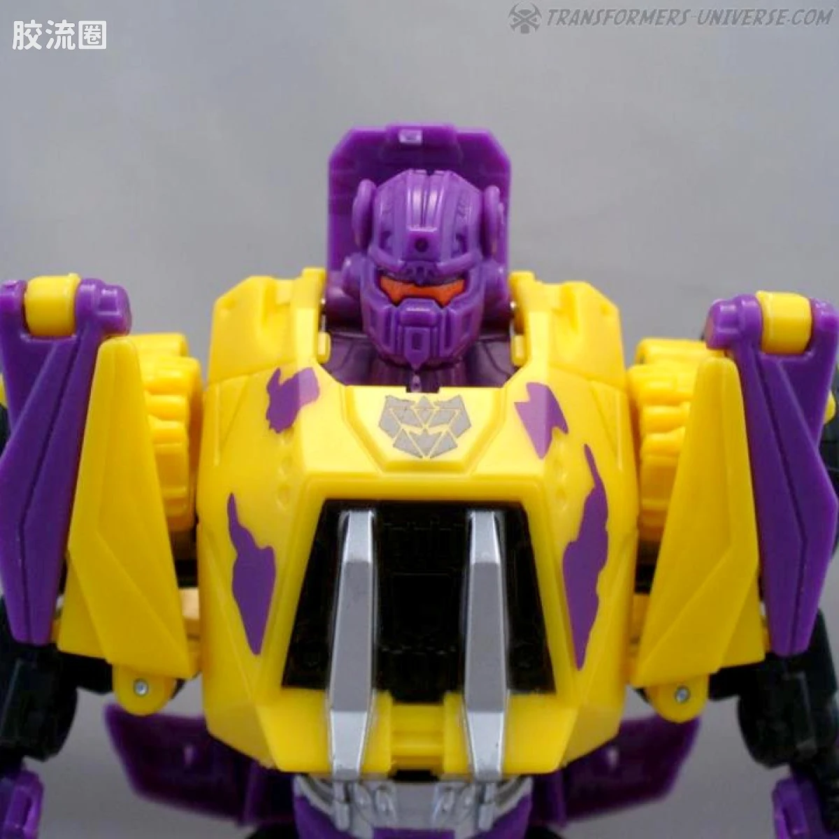 赛博坦陨落&激荡 塞伯坦陨落&激荡30周年 特殊限定 SDCC G2混天豹set - 图片