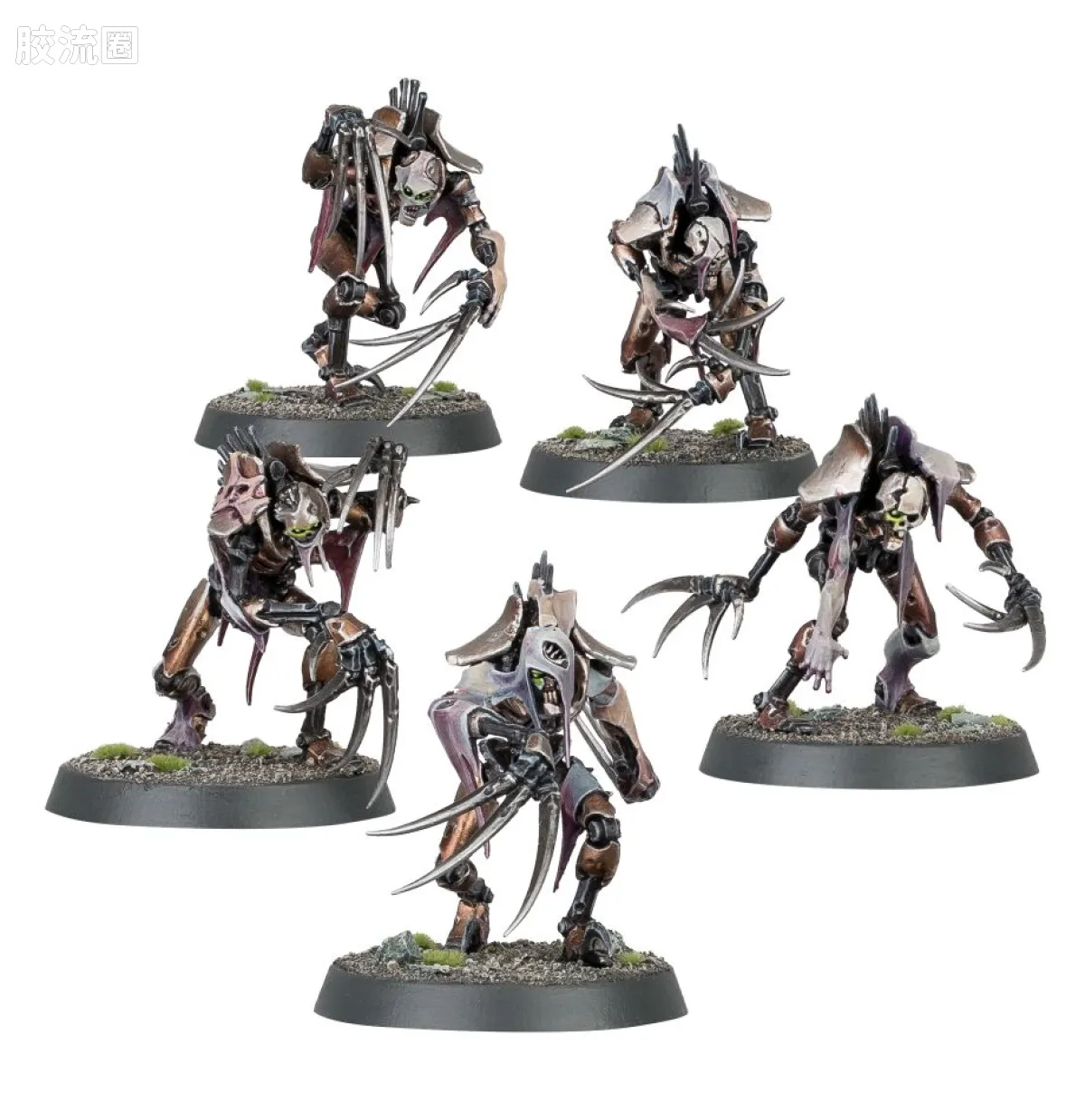 战锤40K Necron 太空死灵 9版 剥皮者 - 图片