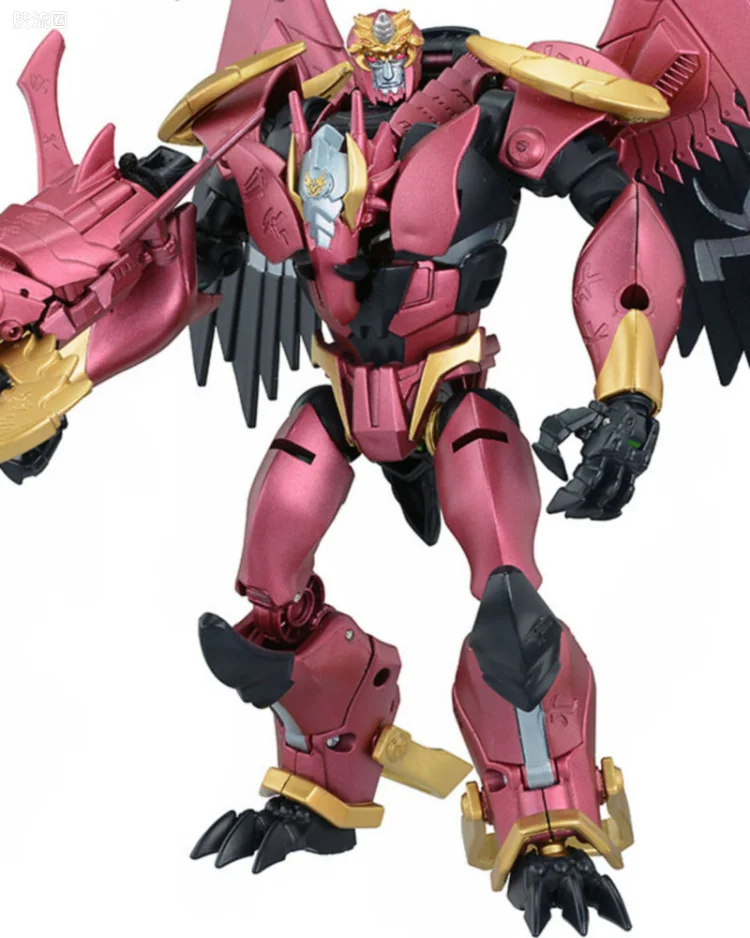 G08 武龙