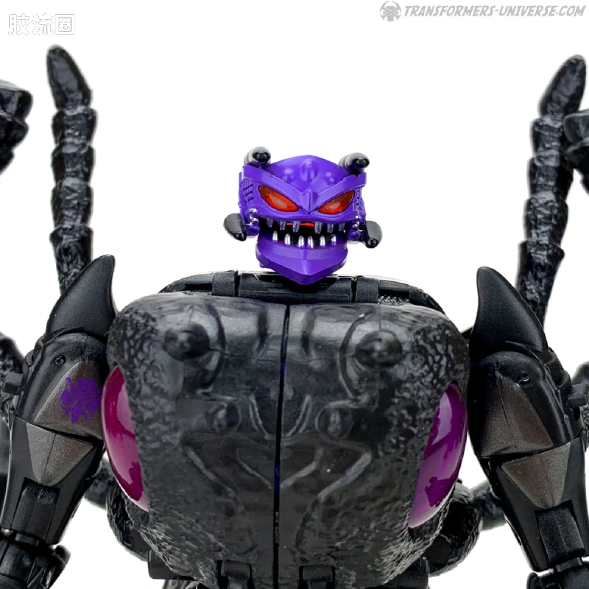 传世进化 传世进化 世代精选 苦蚁 - 图片