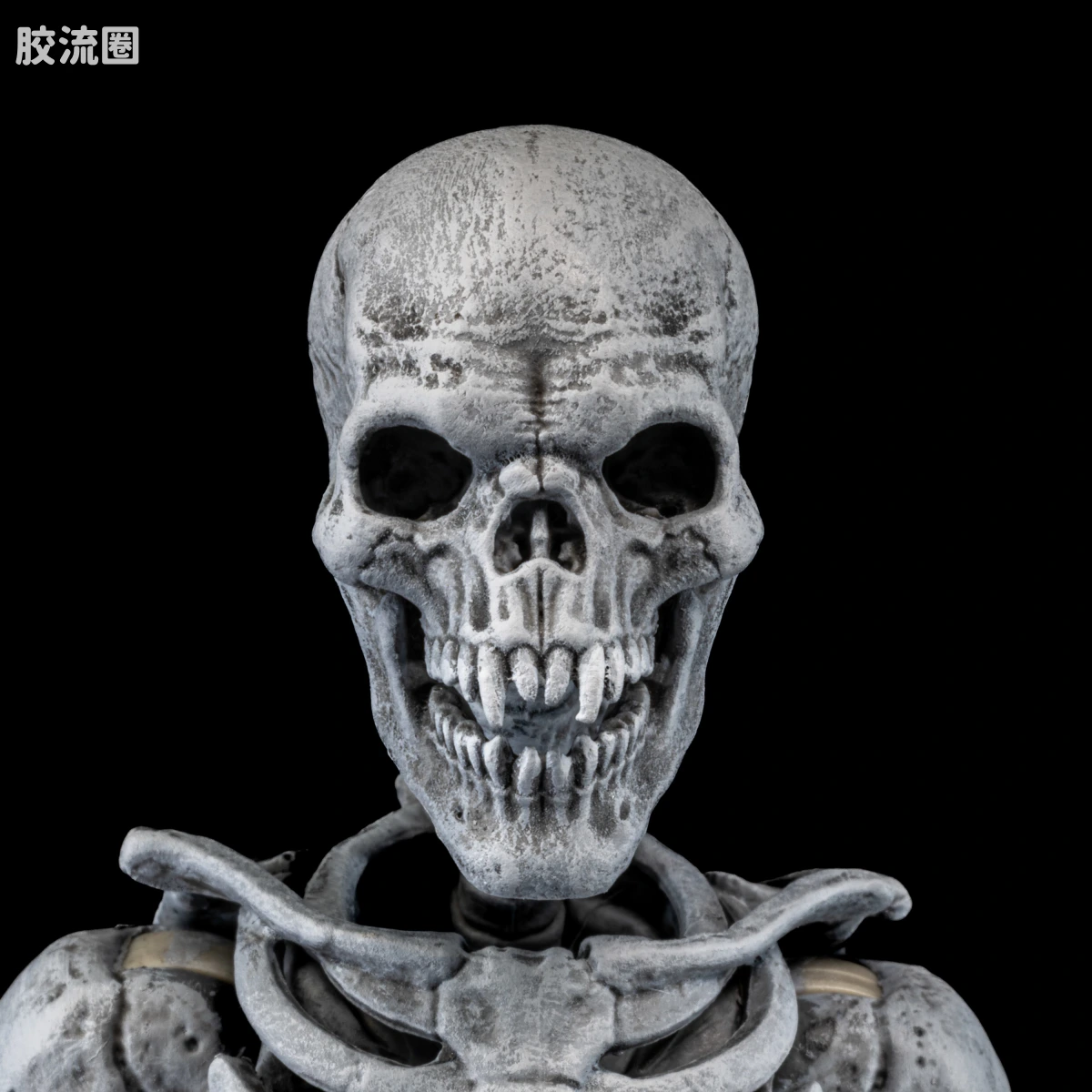 特别企划 Special Projects 墓地骷髅（4人套） - 图片