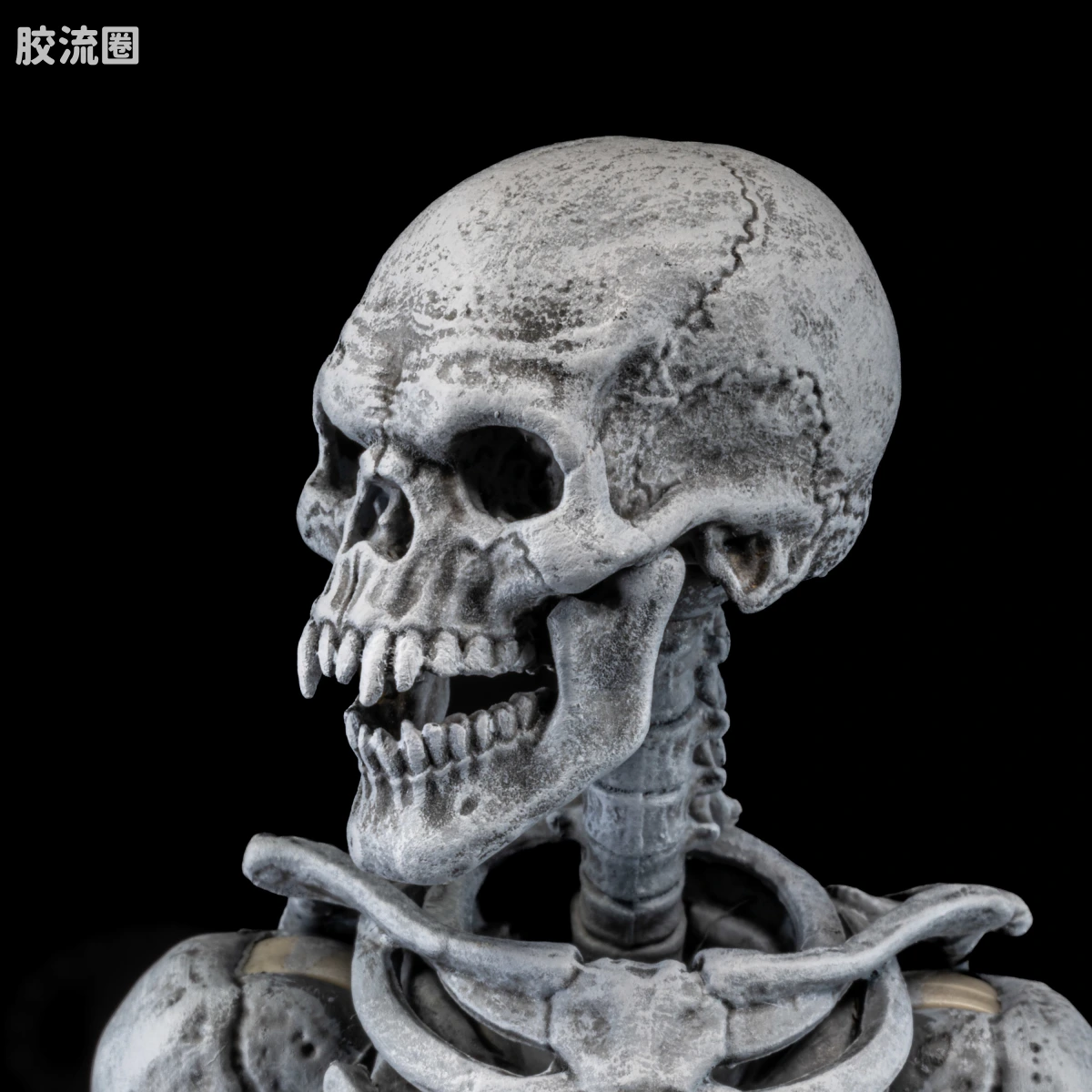 特别企划 Special Projects 墓地骷髅（4人套） - 图片