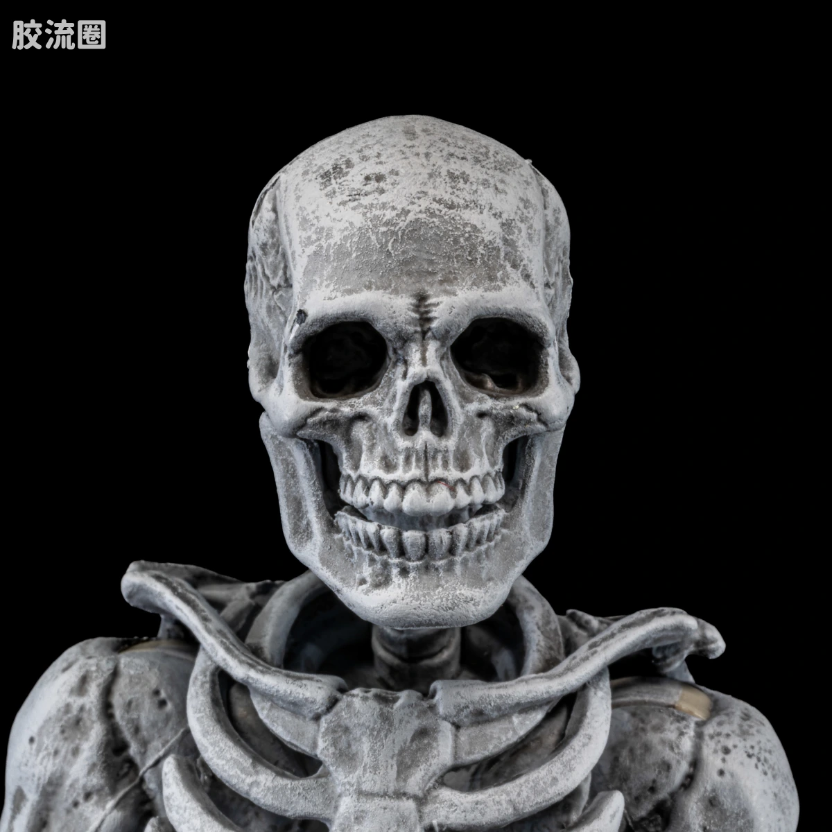 特别企划 Special Projects 墓地骷髅（4人套） - 图片