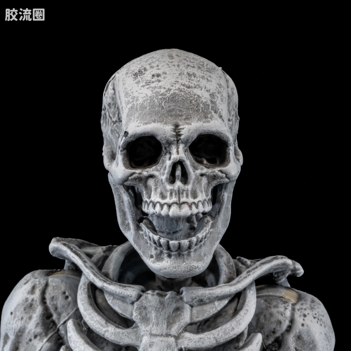 特别企划 Special Projects 墓地骷髅（4人套） - 图片
