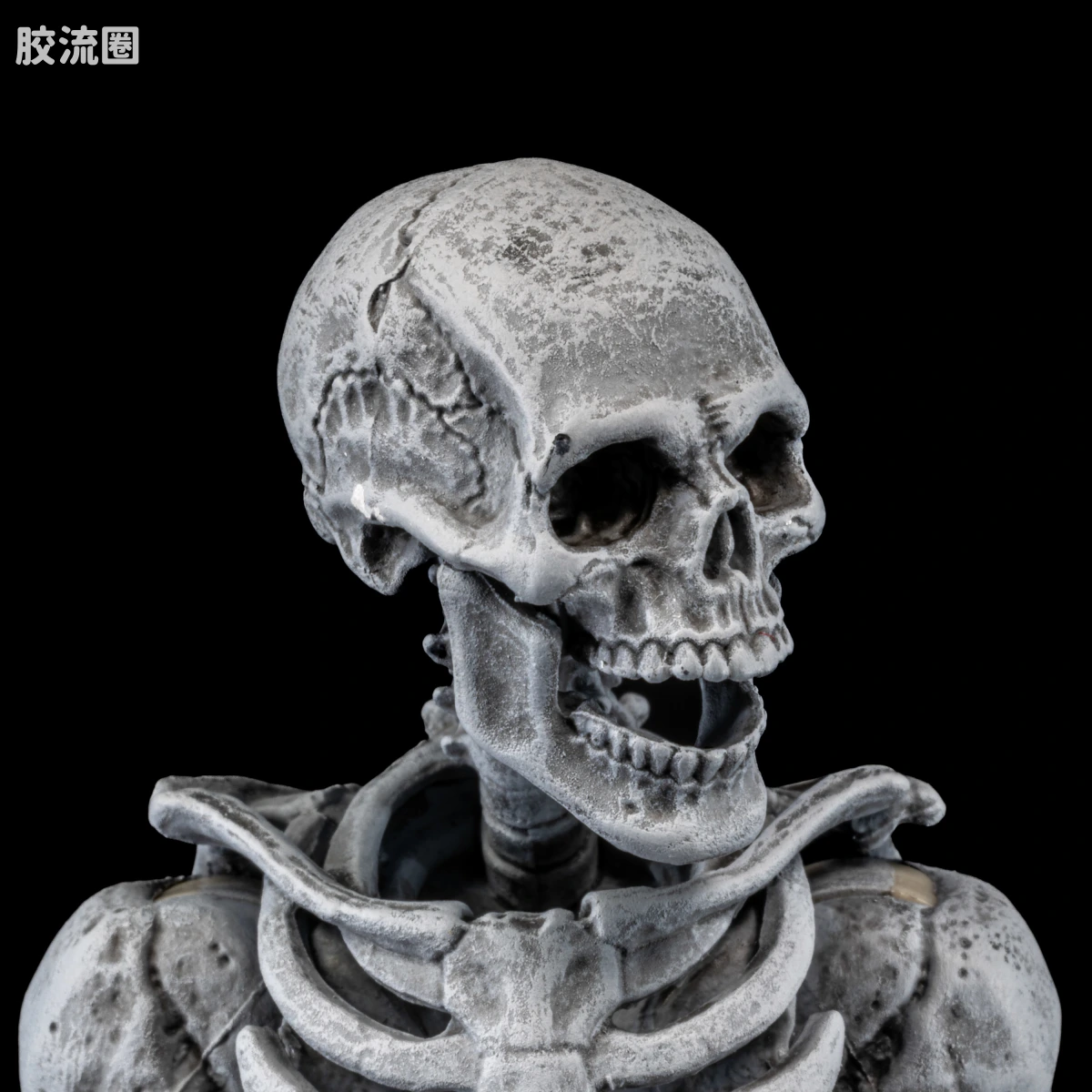 特别企划 Special Projects 墓地骷髅（4人套） - 图片