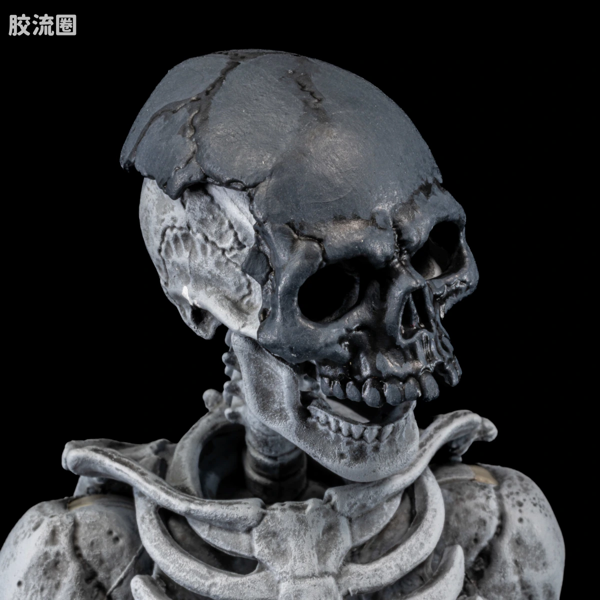 特别企划 Special Projects 墓地骷髅（4人套） - 图片