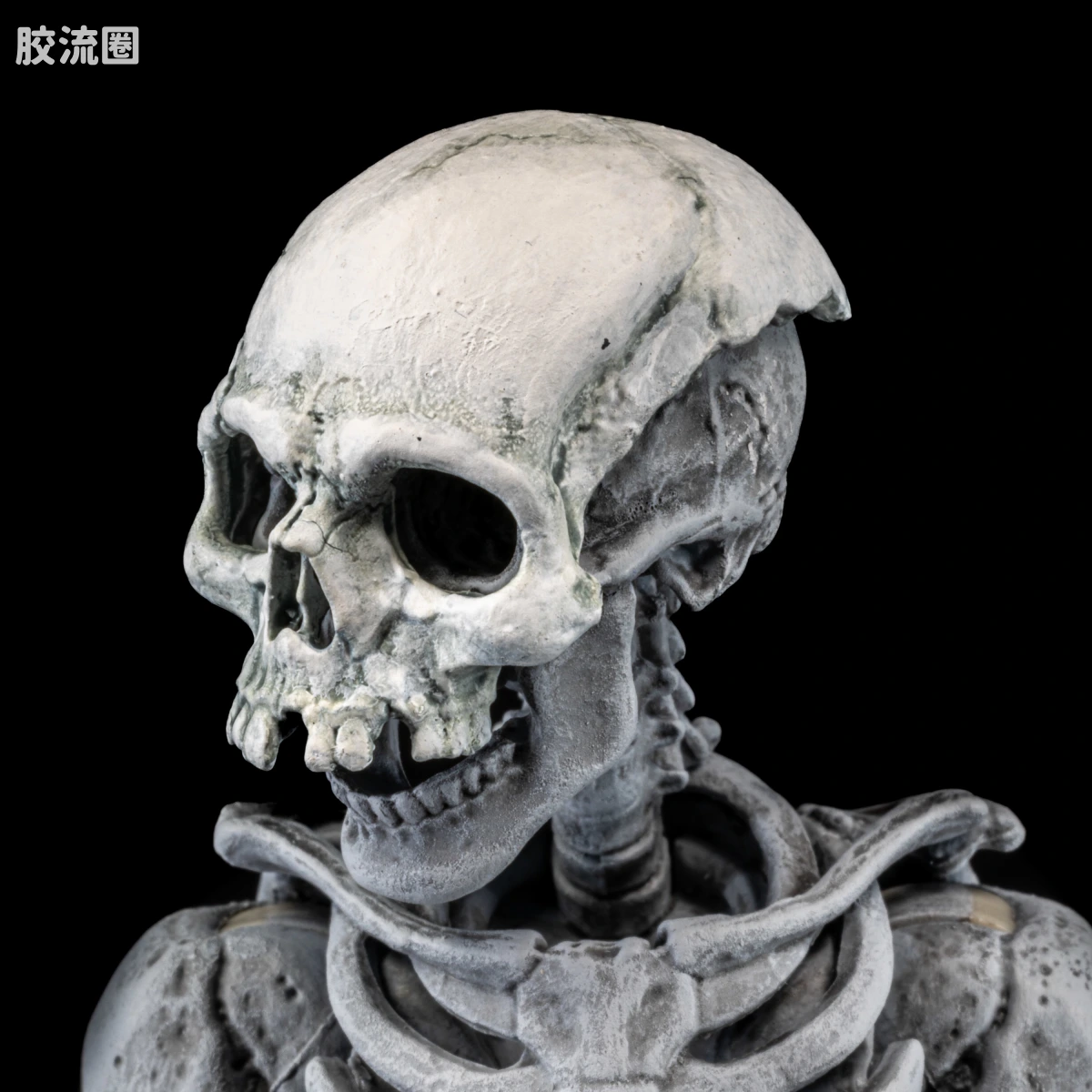 特别企划 Special Projects 墓地骷髅（4人套） - 图片