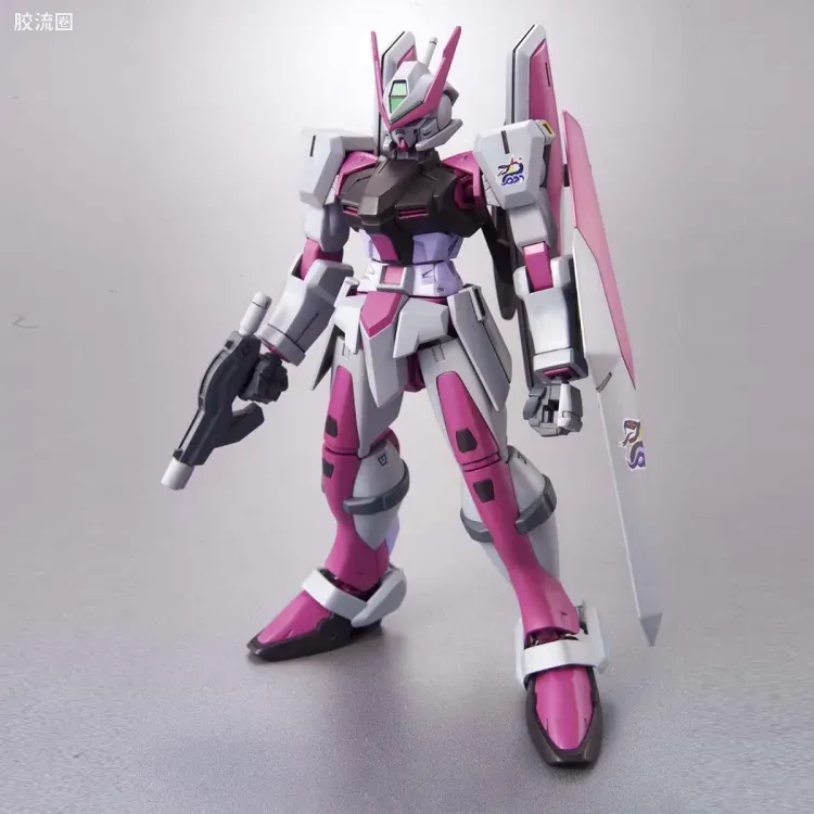 机动战士高达SEED HG SEED&SEED DESTINY 56 军用型异端PMC改装型[莱昂斯机] - 图片