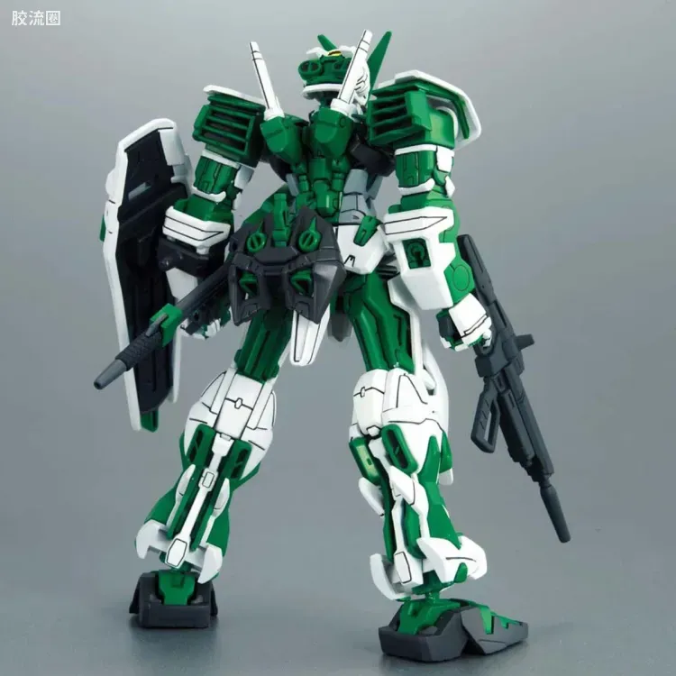 机动战士高达SEED HG SEED&SEED DESTINY 55 异端高达绿色机 - 图片