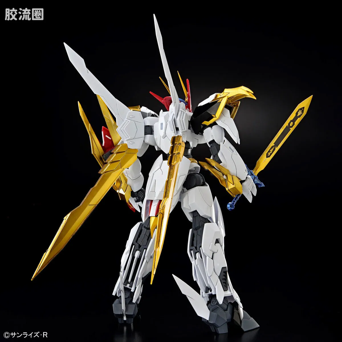 万代综合拼装模型系列 HG Amplified IMGN 龙王丸 - 图片