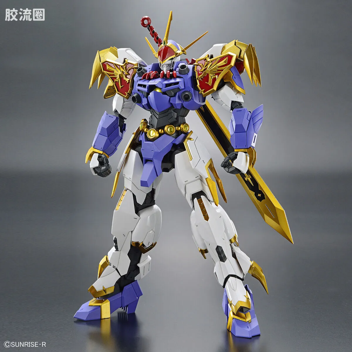 万代综合拼装模型系列 HG Amplified IMGN 龙神丸 - 图片