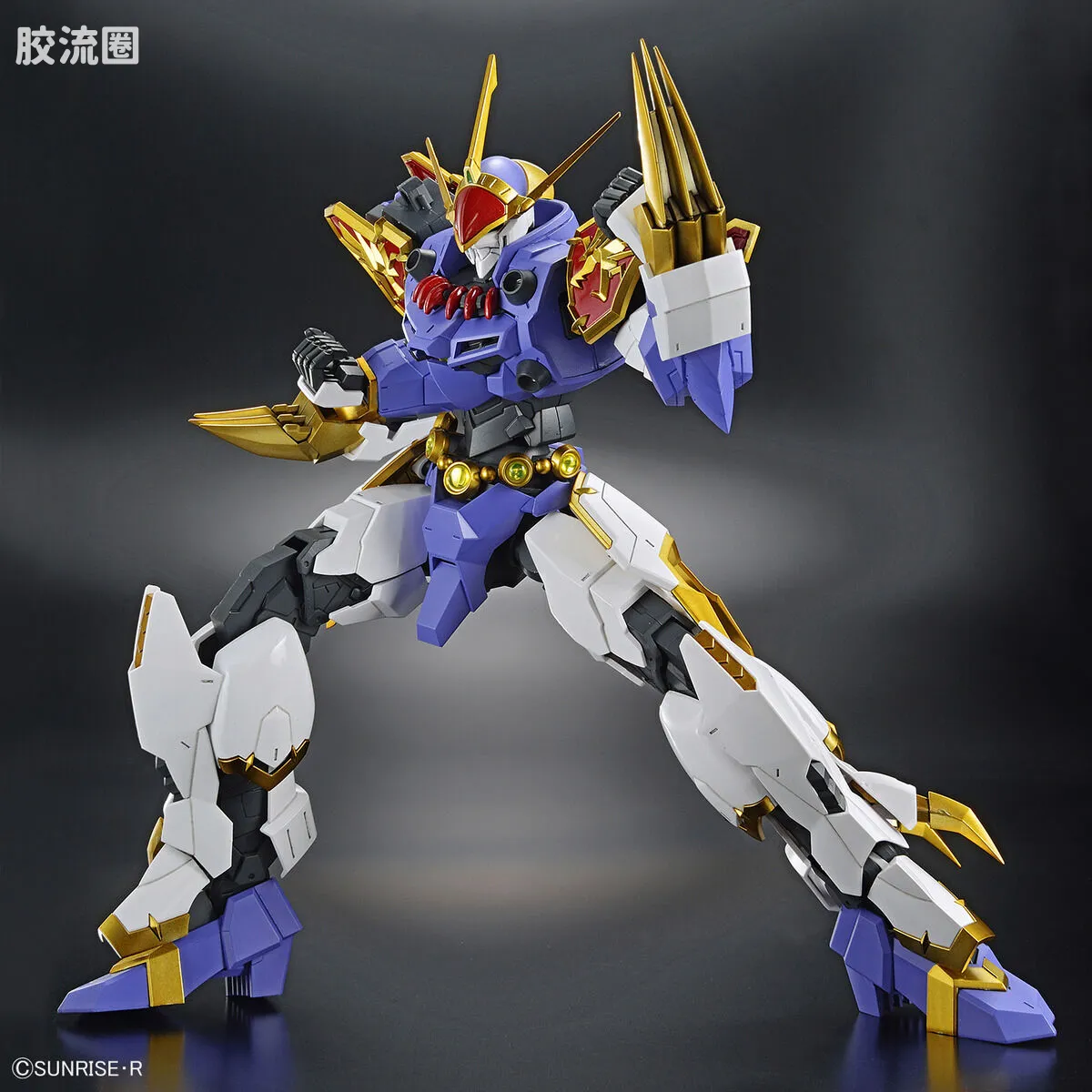 万代综合拼装模型系列 HG Amplified IMGN 龙神丸 - 图片