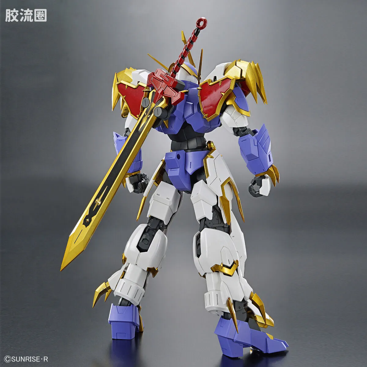 万代综合拼装模型系列 HG Amplified IMGN 龙神丸 - 图片