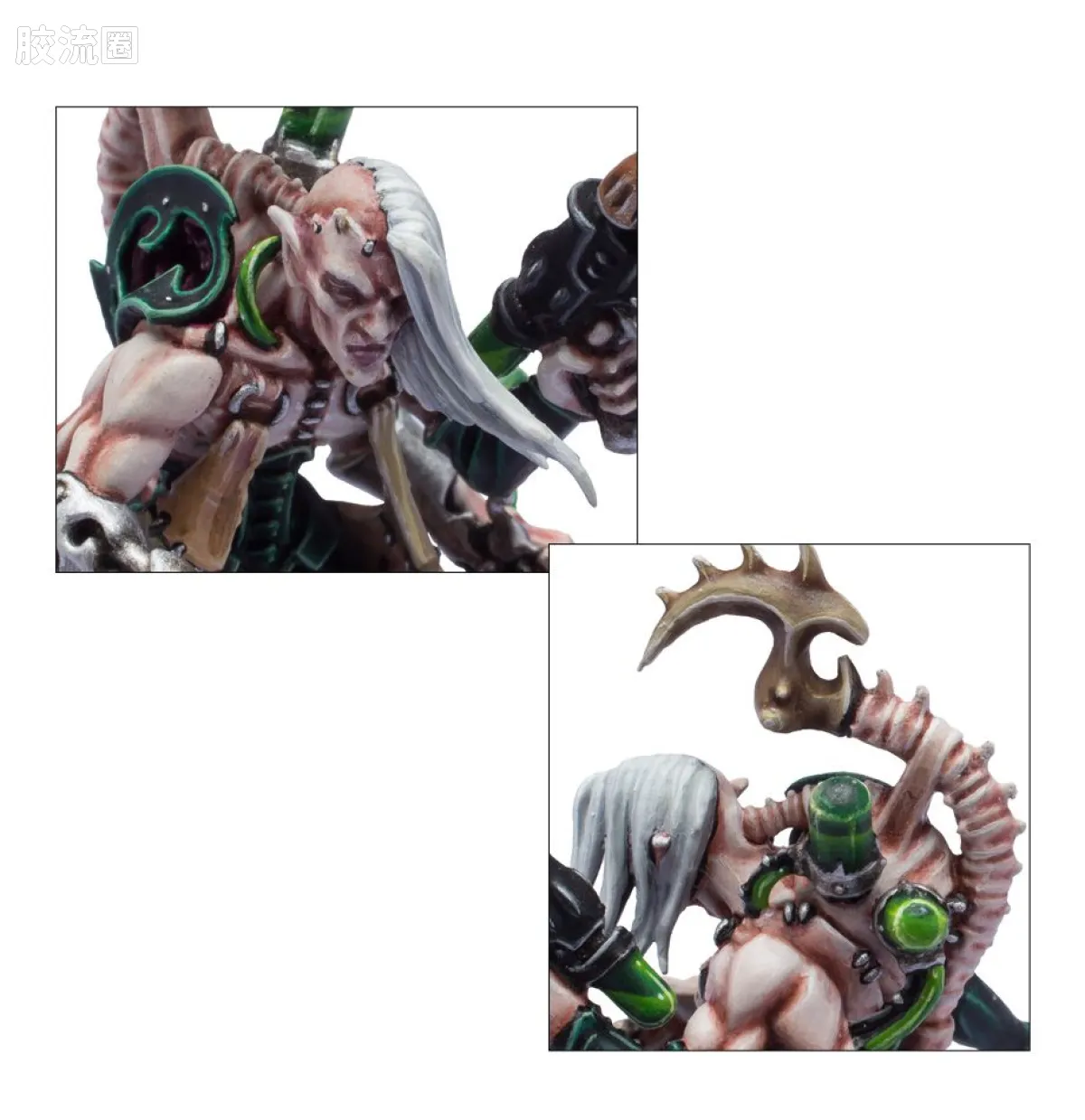 战锤40K Drukhari 黑暗灵族 7版 血伶人 - 图片