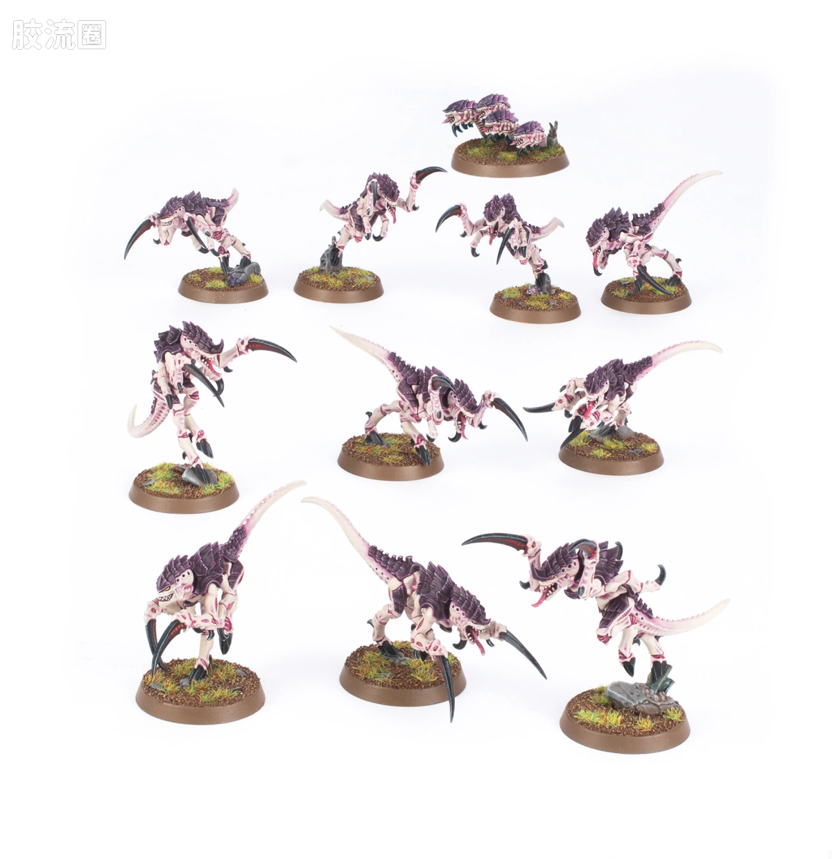 战锤40K Tyranid 泰伦虫族 10版 刀虫 - 图片