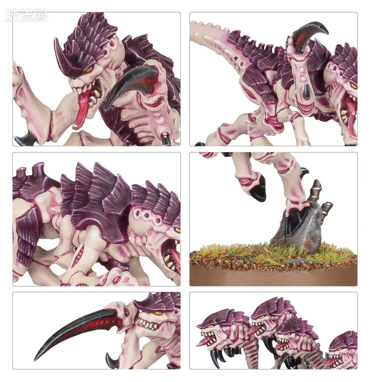 战锤40K Tyranid 泰伦虫族 10版 刀虫 - 图片