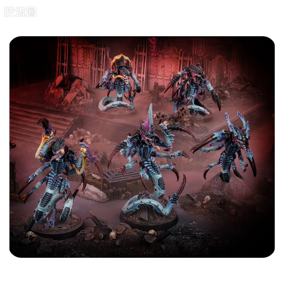 战锤40K Tyranid 泰伦虫族 10版 杀戮小队 蛇虫 - 图片