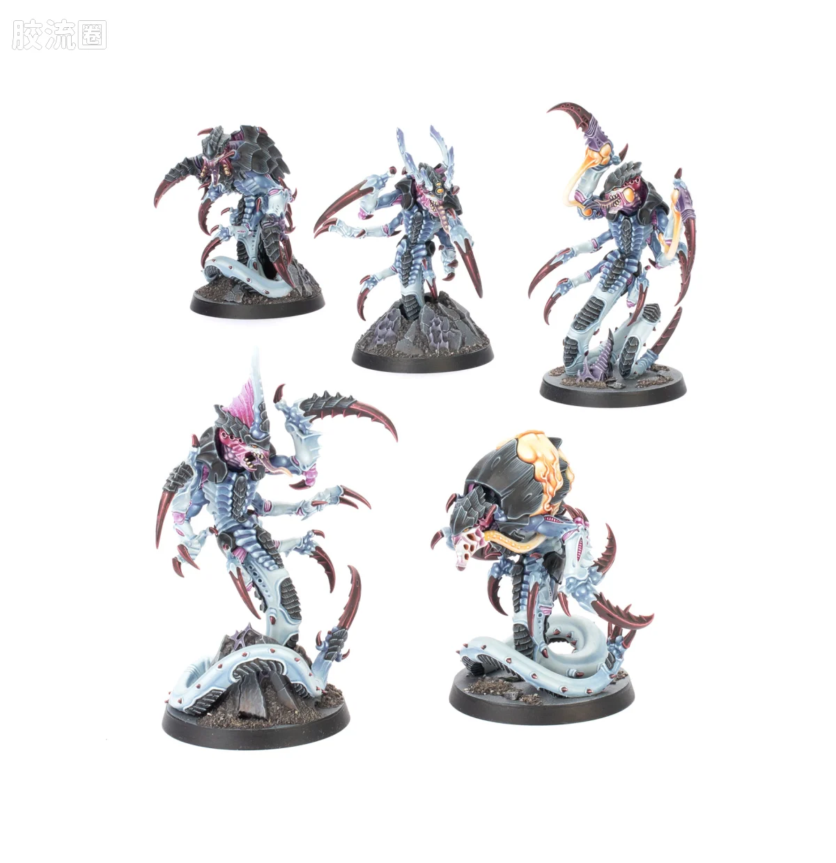 战锤40K Tyranid 泰伦虫族 10版 杀戮小队 蛇虫 - 图片