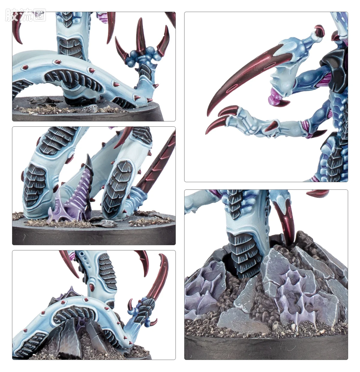 战锤40K Tyranid 泰伦虫族 10版 杀戮小队 蛇虫 - 图片