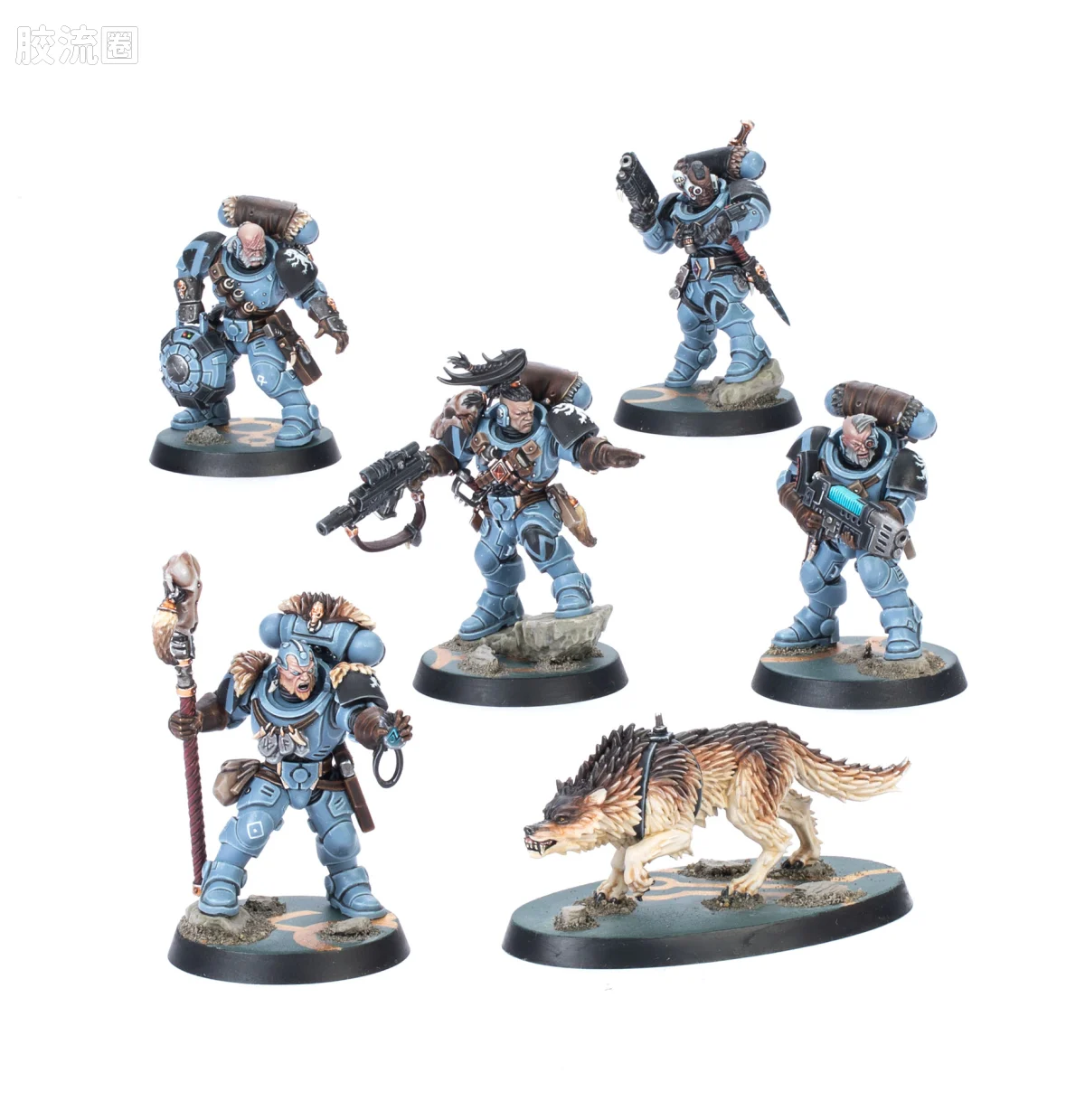 战锤40K Space Wolves 太空野狼 10版 杀戮小队 狼侦察 - 图片