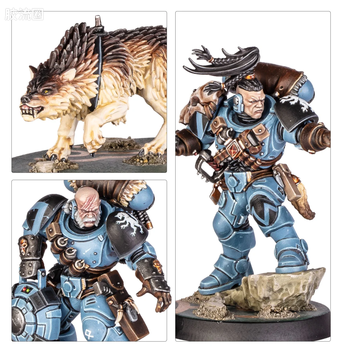 战锤40K Space Wolves 太空野狼 10版 杀戮小队 狼侦察 - 图片