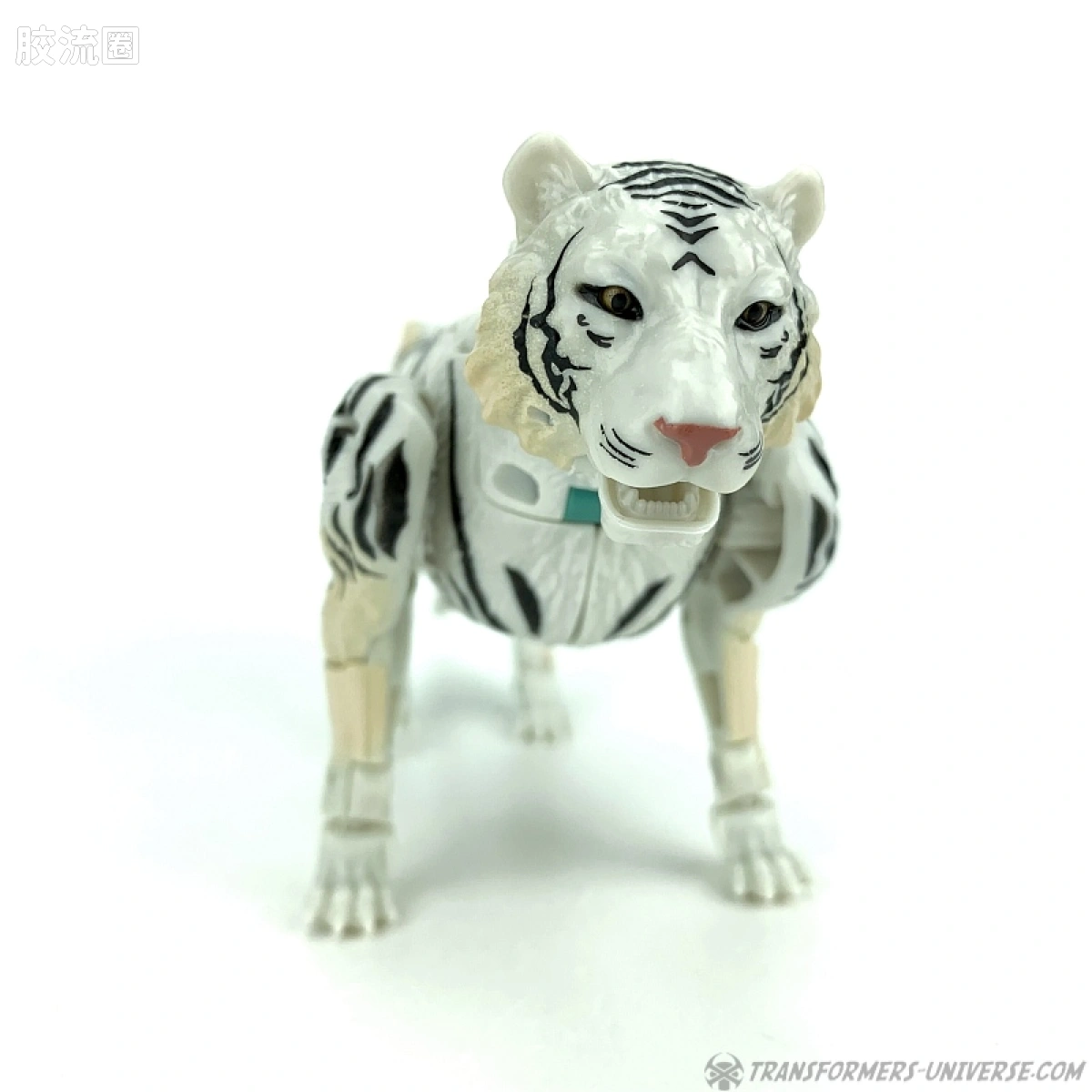 王国 王国 WFC-K35 白虎 - 图片