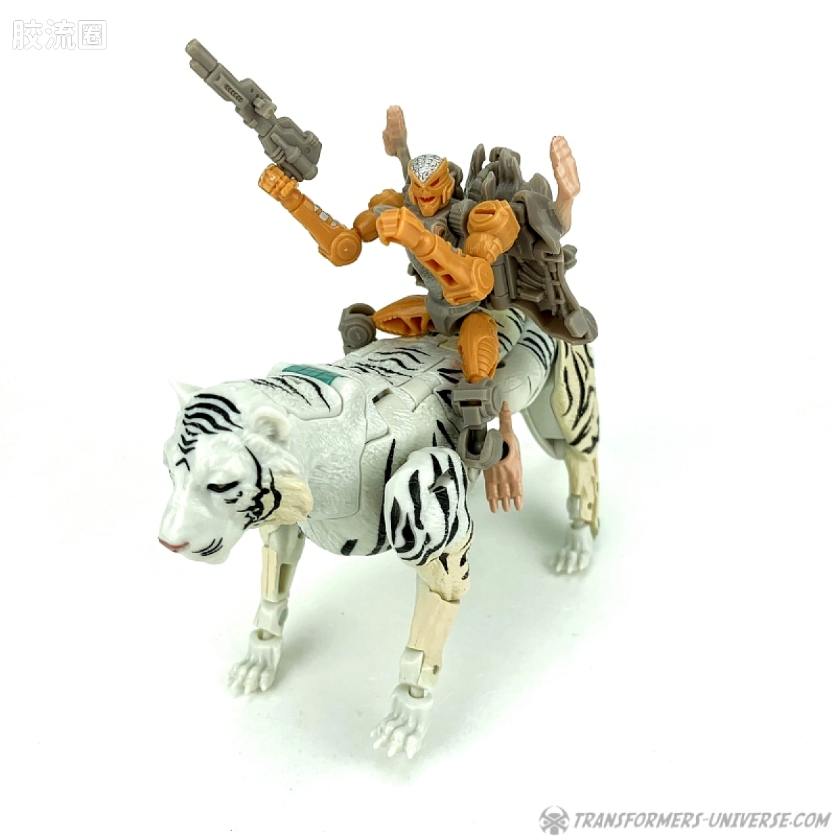 王国 王国 WFC-K35 白虎 - 图片
