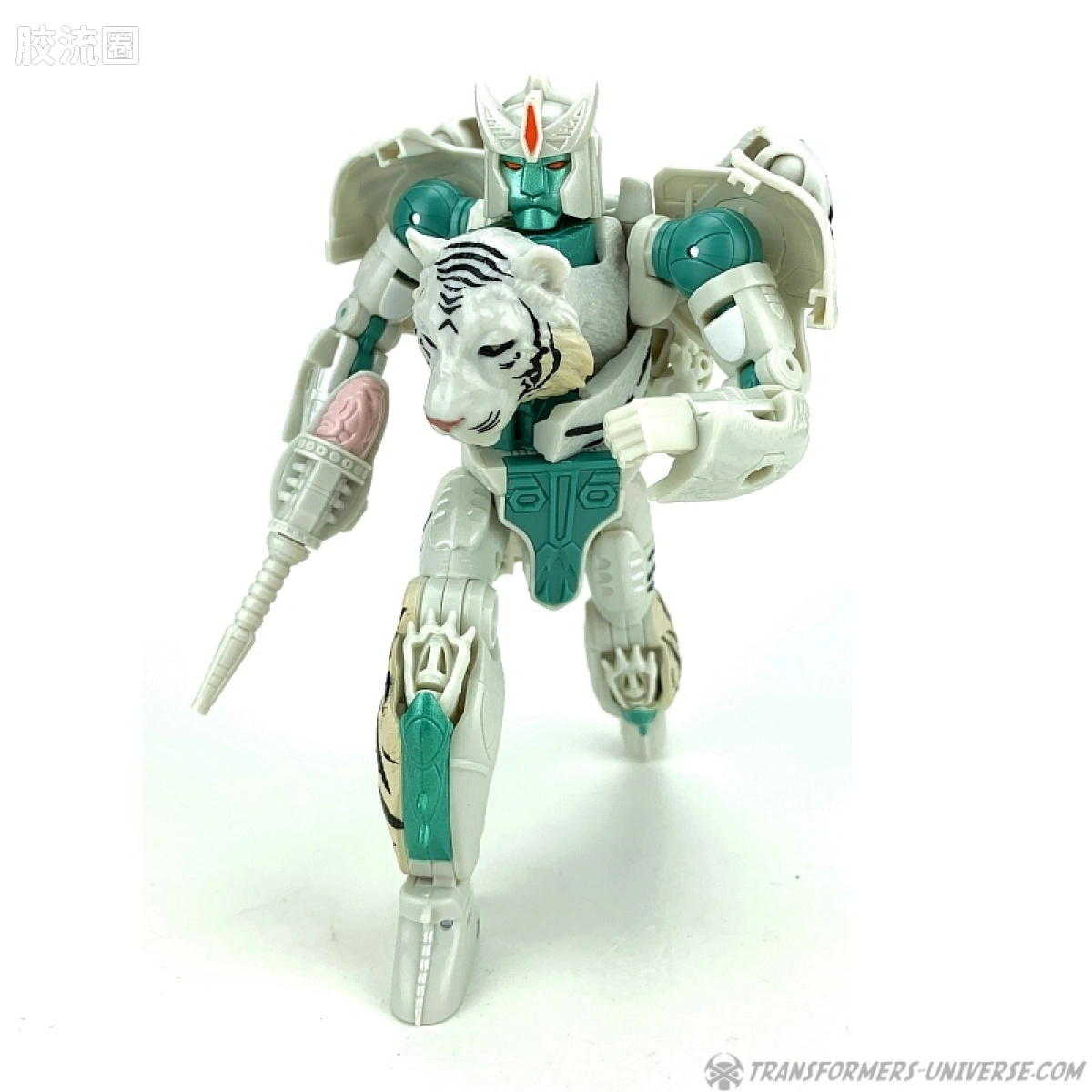 王国 王国 WFC-K35 白虎 - 图片
