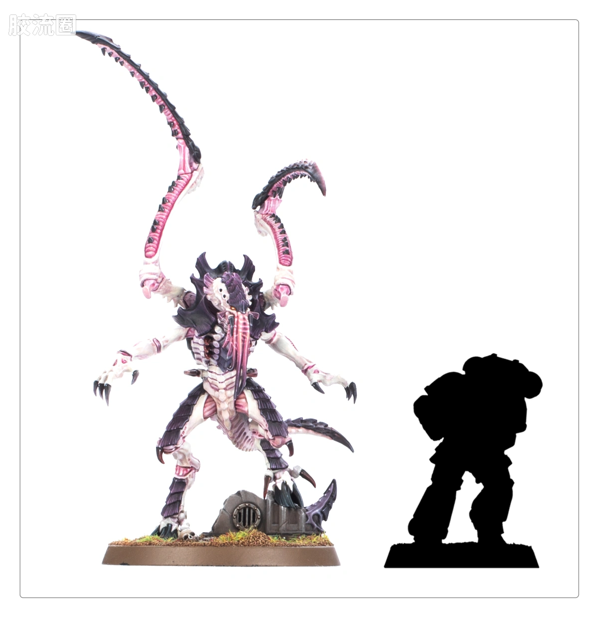 战锤40K Tyranid 泰伦虫族 10版 刀斧虫 - 图片