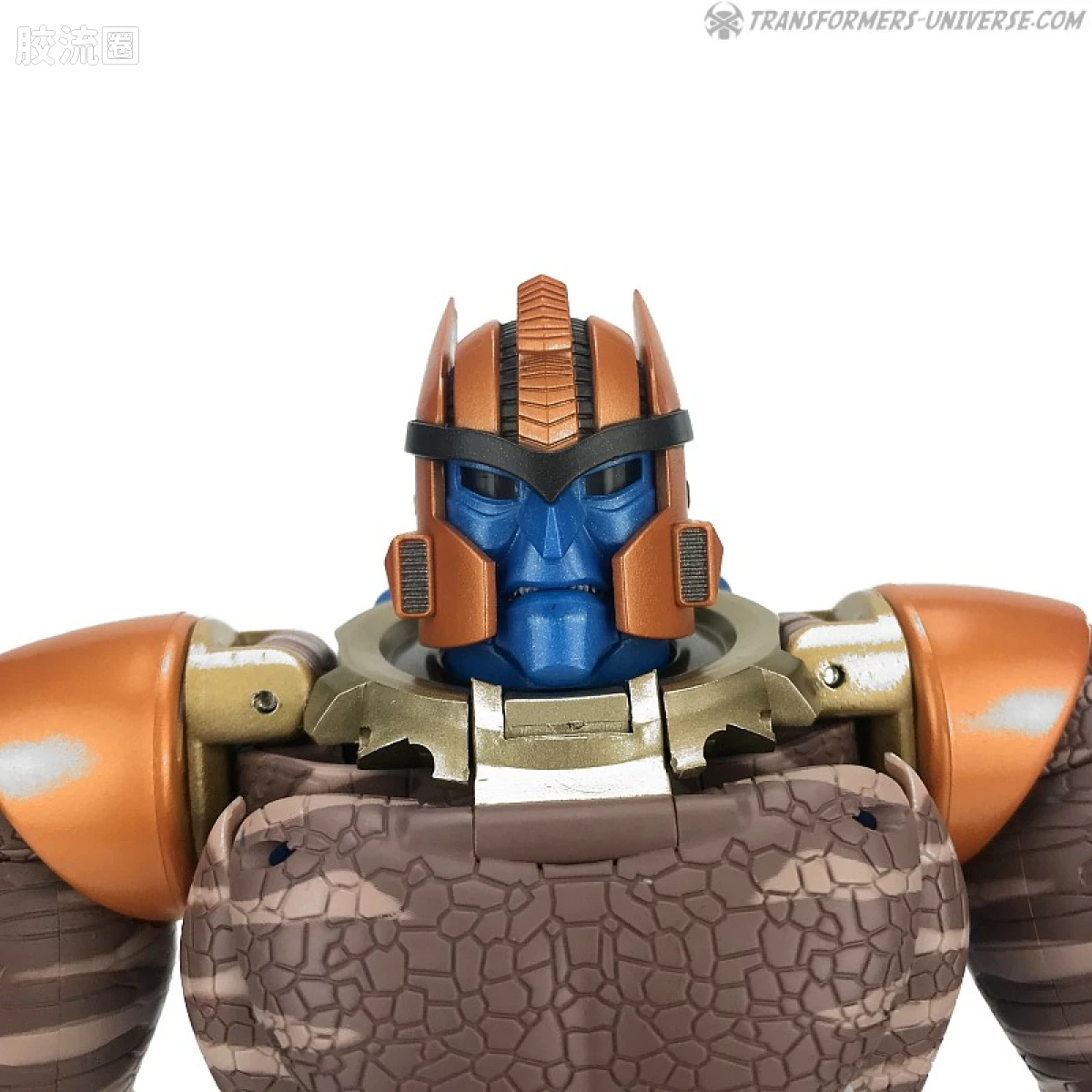 变形金刚MP系列 MP日版 MP-41 恐龙勇士（BW） - 图片
