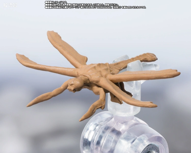 S.H.MonsterArts 限定及特别版 超翔龙 进化套装 - 图片