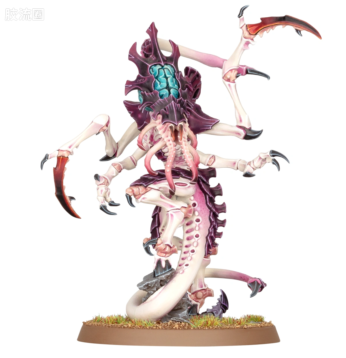 战锤40K Tyranid 泰伦虫族 10版 神经刀斧虫 - 图片