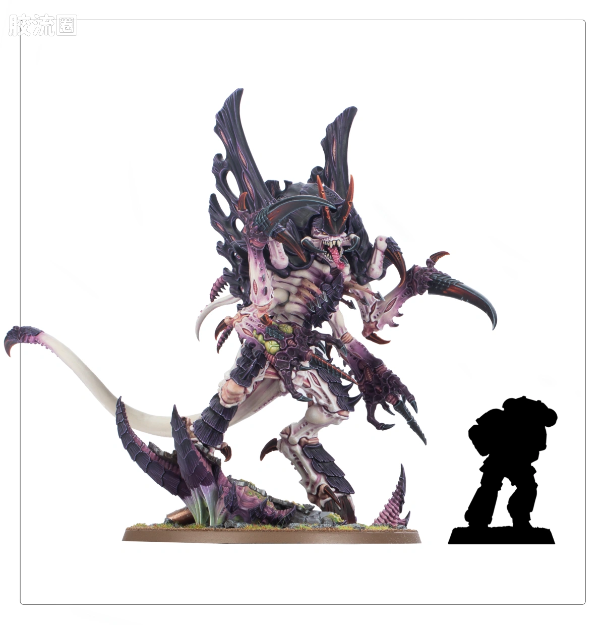 战锤40K Tyranid 泰伦虫族 10版 诺恩同化者 - 图片